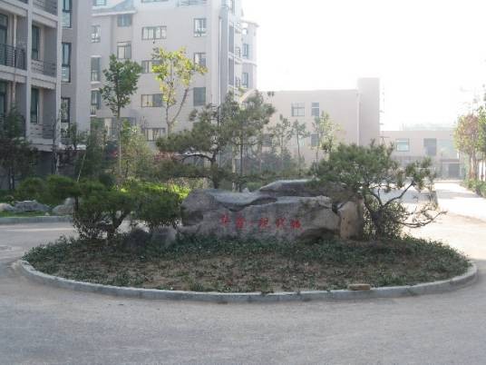 华鑫现代城