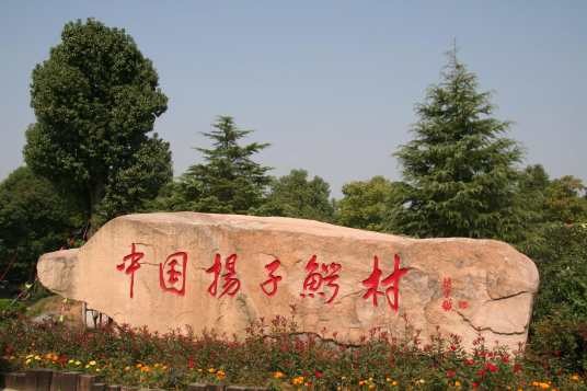 中国扬子鳄村