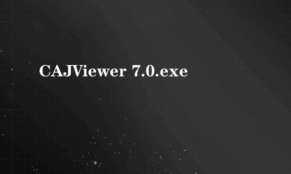 CAJViewer 7.0.exe