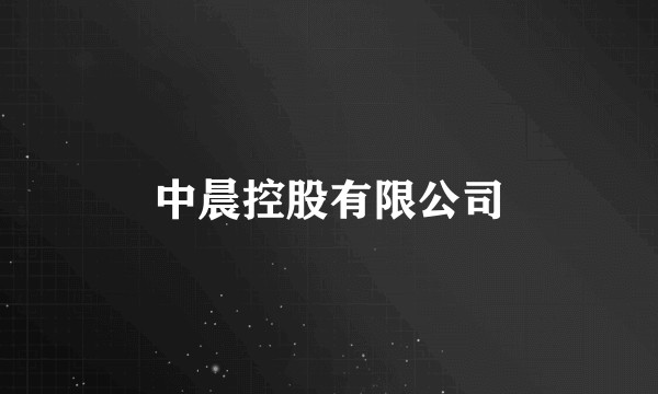 中晨控股有限公司
