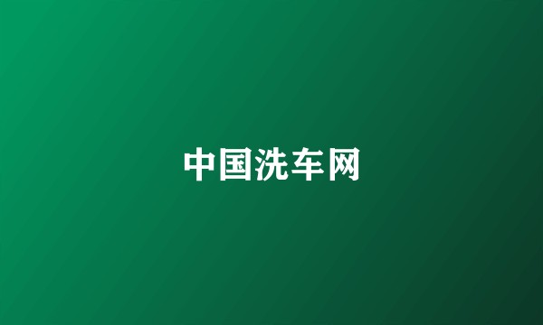 中国洗车网