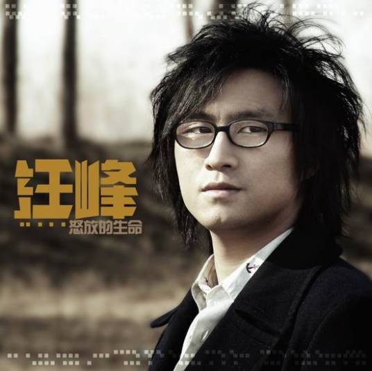 怒放的生命(汪峰演唱歌曲)