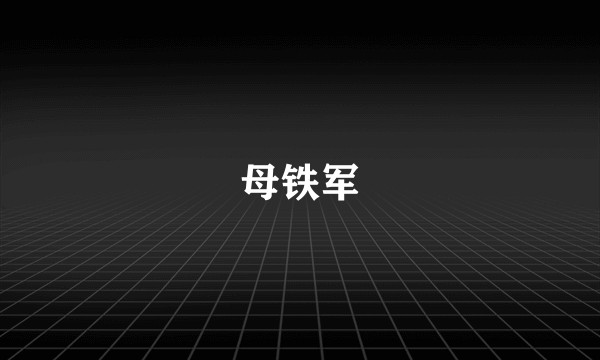 母铁军
