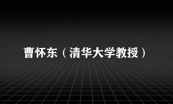 曹怀东（清华大学教授）