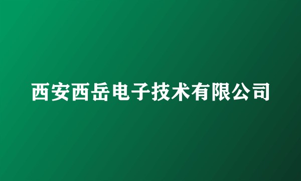 西安西岳电子技术有限公司