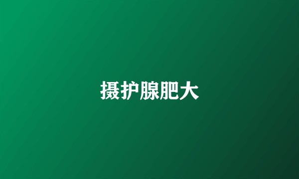 摄护腺肥大