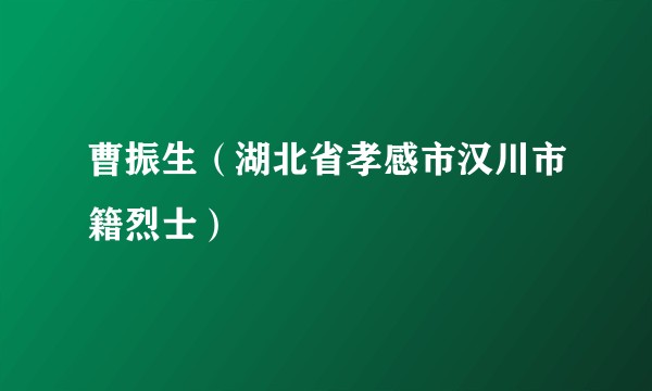 曹振生(湖北省孝感市汉川市籍烈士)