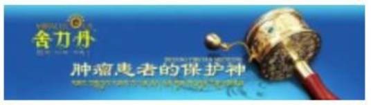 舍力丹