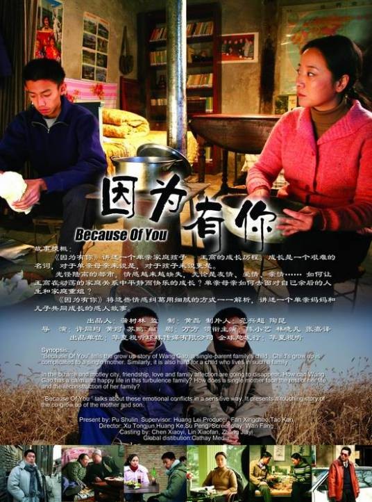 因为有你（2008年陈小艺、林晓凡主演电视剧）