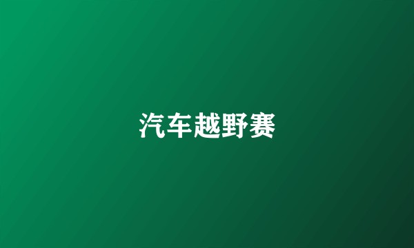 汽车越野赛