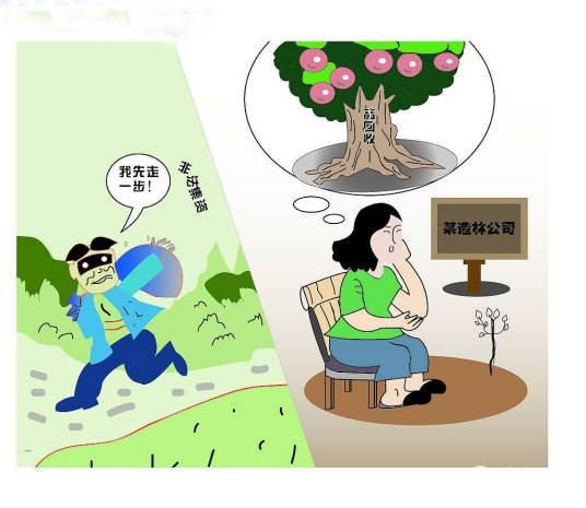 江苏泗洪集资案