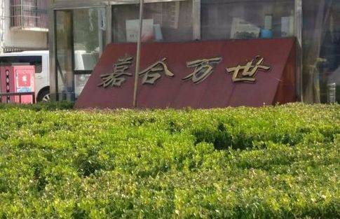 嘉合万世