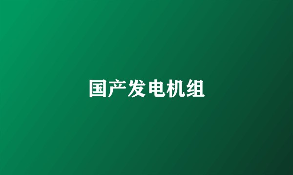 国产发电机组