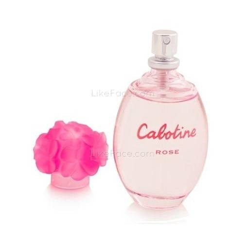 Calotine歌宝婷