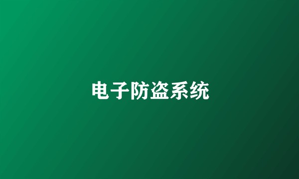 电子防盗系统