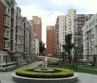 北京天之骄子