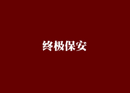 终极保安(都市生活类小说)