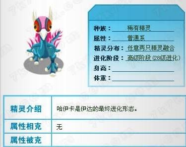 哈伊卡