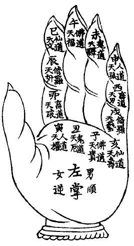 全脑手心算