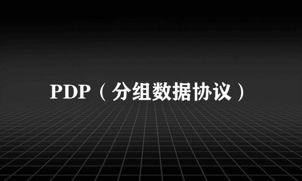 PDP（分组数据协议）