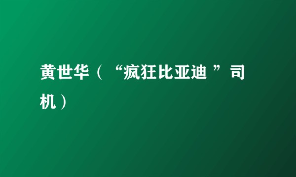 黄世华(“疯狂比亚迪 ”司机)