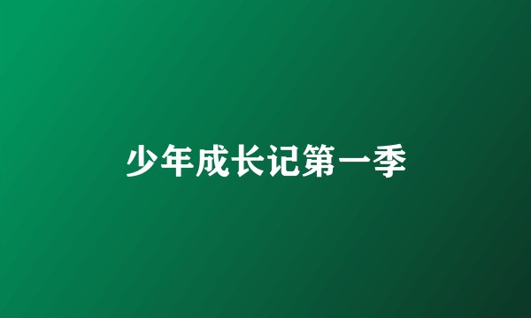 少年成长记第一季
