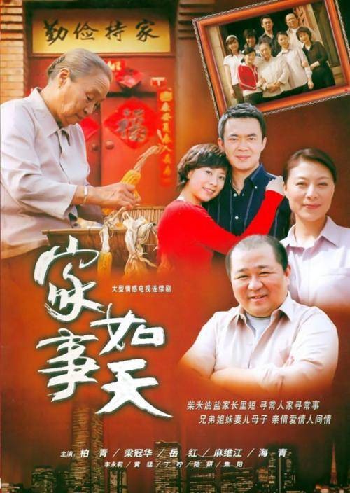家事如天(2007年出品的现实题材亲情电视剧)