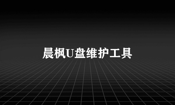 晨枫U盘维护工具