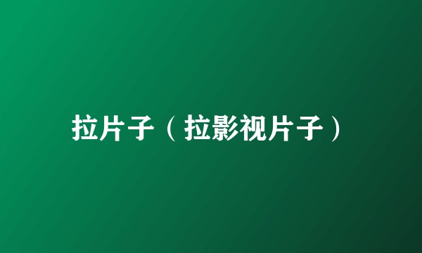 拉片子（拉影视片子）