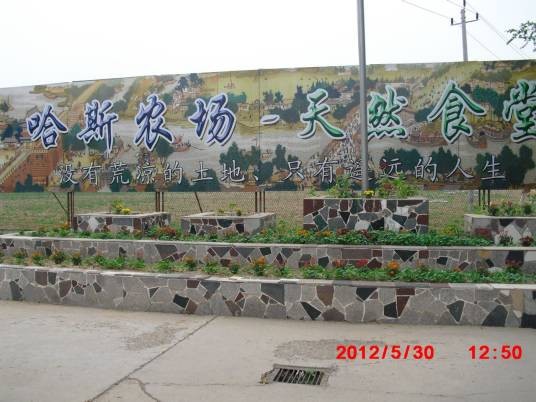 哈斯农场