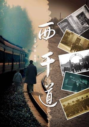 西干道(2008年李继贤执导的电影)
