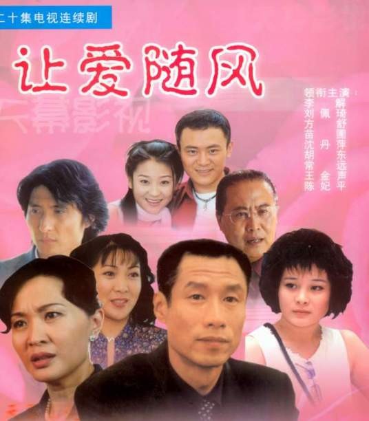 让爱随风（王小康执导的电视剧）