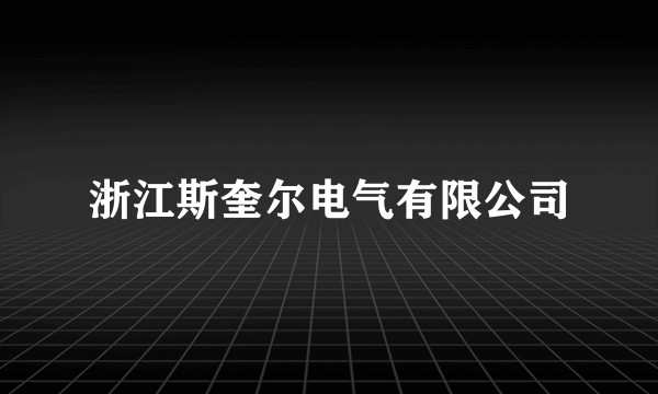 浙江斯奎尔电气有限公司