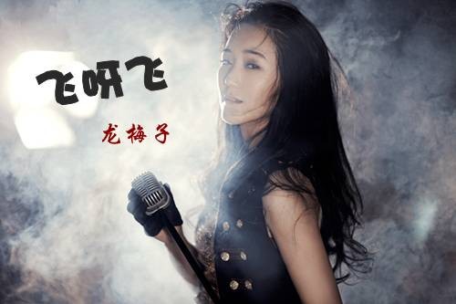 飞呀飞（龙梅子演唱的歌曲）