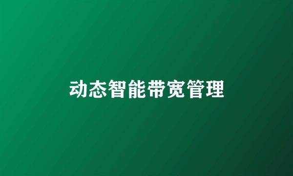 动态智能带宽管理