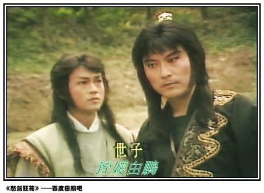 怒剑狂花(1985年独孤红执导的爱情武侠剧)