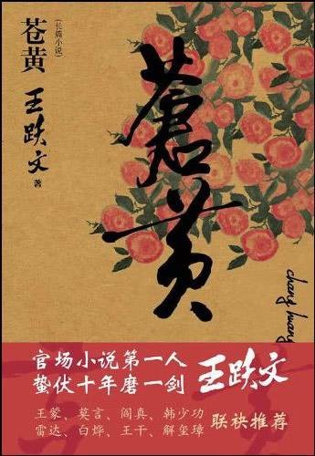 苍黄（2009年江苏人民出版社出版的图书）