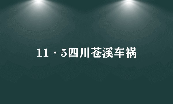11·5四川苍溪车祸