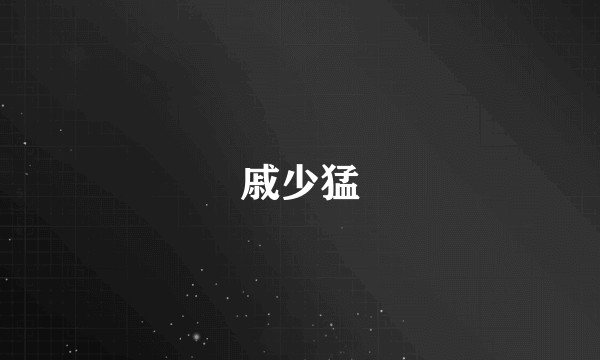 戚少猛