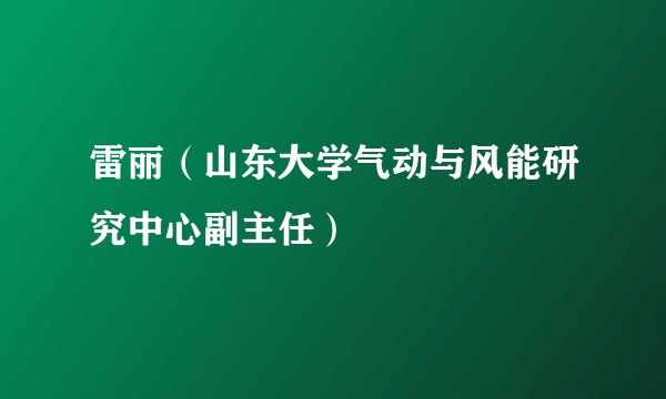 雷丽（山东大学气动与风能研究中心副主任）