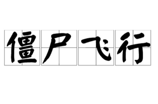 僵尸飞行（航空术语）