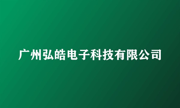 广州弘皓电子科技有限公司