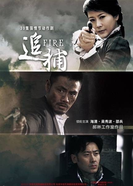 追捕(2011年海清主演内地电视剧)