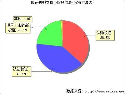 权证股