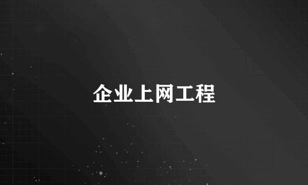 企业上网工程