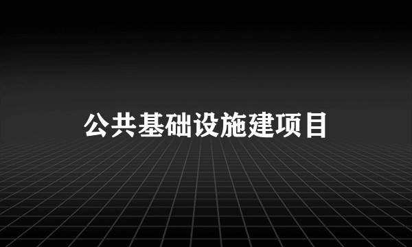 公共基础设施建项目
