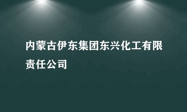 内蒙古伊东集团东兴化工有限责任公司