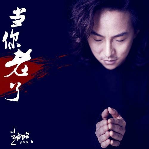 当你老了（2015年赵照演唱歌曲）