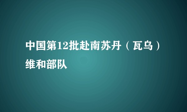 中国第12批赴南苏丹（瓦乌）维和部队