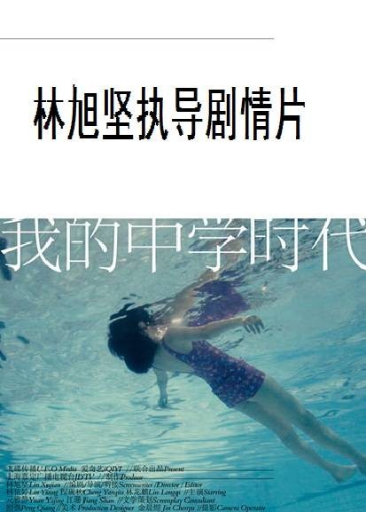 我的中学时代(2012年林旭坚执导剧情片)